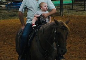 Quarter Horse (Quarter Horse, Gelding) in Beaverton, AL