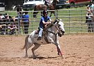 Wsca Game Horse Gem