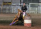 Running Breed Broodmare Jewels on ice