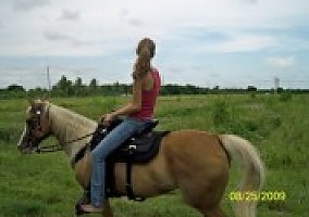 Quarter Horse (Quarter Horse, Mare) in Davie, FL