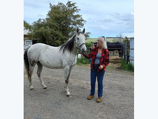 Beautiful, Strong Mare