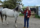 Quarter Horse - Horse for Sale in Republic, WA 99166 Quarter Horse - Horse for Sale in Republic, WA 99166