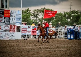 6yr old all Around Family Friendly Ranch Rodeo Rope Or Trail Horse Quarter Horse Gelding