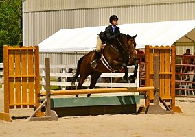 Big (Thoroughbred, Mare) in Fair Haven, MI
