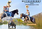 Pony - Horse for Sale in Rigby, ID 83442 Pony - Horse for Sale in Rigby, ID 83442