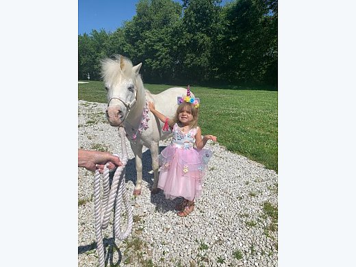 Pony