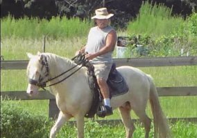 Paso Fino (Paso Fino, Stallion) in Dale, TX