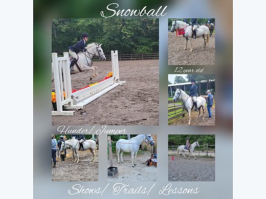 Snowball