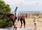 May Day Major - Mare in Fort Collins, CO May Day Major - Mare in Fort Collins, CO