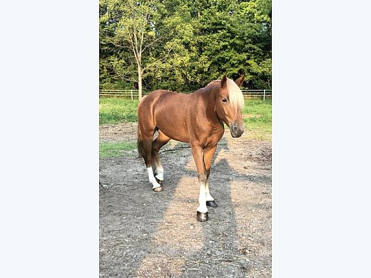Beautiful 4 Year old!