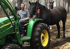Draft (Percheron, Belgian, Clydesdale, Shire) (Draft (Percheron, Belgian, Clydesdale, Shire), Stallion) in Vulcan, MI