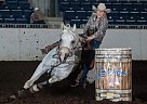 Quarter Horse - Horse for Sale in Smithville, ON L0r2a0