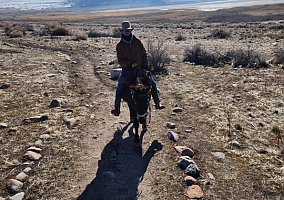 Mustang (Mustang, Gelding) in Eagle Mountain, UT