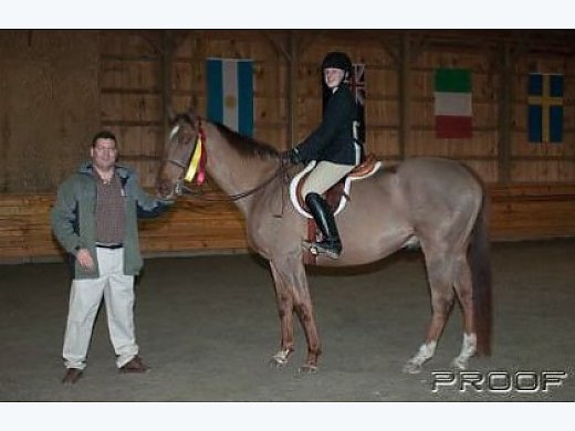 2002 Thoroughbred Jumper