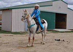 Appaloosa Gelding Appaloosa Gelding