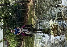 Mustang (Mustang, Gelding) in Crawfordville, FL