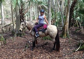 Lilbug Tennessee Walking Mare