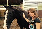 Tennessee Walking Gelding for Sale in Red Wing, Minnesota Tennessee Walking Gelding for Sale in Red Wing, Minnesota