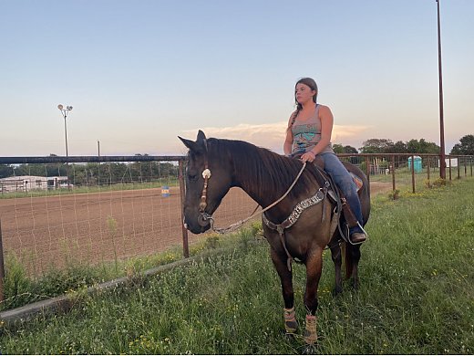 2D/3D Finished Barrel Horse