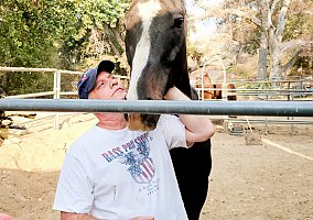 Thoroughbred (Thoroughbred, Gelding) in Santa Clarita, CA