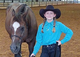 Quarter Horse (Quarter Horse, Gelding) in Henderson, TX