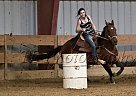 1D/2D Rodeo Mare Quarter Horse Mare