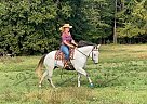Smoke - Gelding in Eatonton, GA Smoke - Gelding in Eatonton, GA