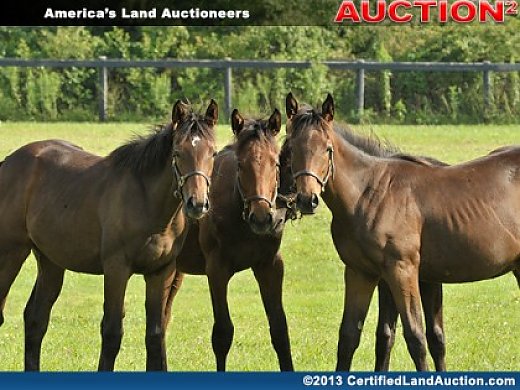 Ohio Horse Farm Real Estate, Equipment and Equine Auction