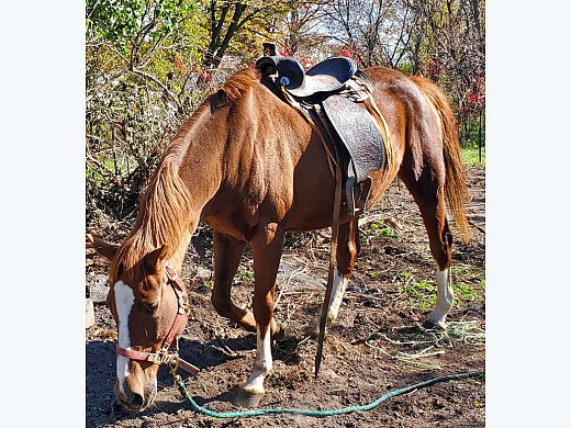 Retired Jockey