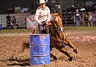 Barrel Horse Spinner