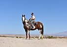 All Around Horse Red Cloud
