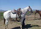Queening, Barrels, Poles, Goats. Pepper