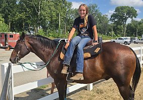 Quarter Horse (Quarter Horse, Gelding) in Auburn, IN