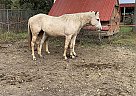 A Streak Of Fling Breed Streaker