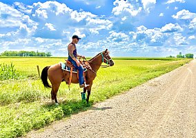 Quarter Pony (Quarter Pony, Gelding) in Rockwell City, IA