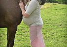 TURBO - Gelding in Viroqua, WI TURBO - Gelding in Viroqua, WI
