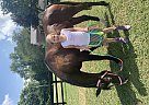 Raja - Mare in Johnson City, TN Raja - Mare in Johnson City, TN