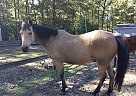 Buckskin Dalton