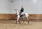 Roany - Gelding in Bemidji, MN Roany - Gelding in Bemidji, MN