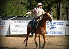 - Mare in Lavaca, AR - Mare in Lavaca, AR