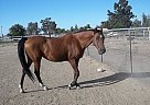 - Mare in Sacramento, CA - Mare in Sacramento, CA