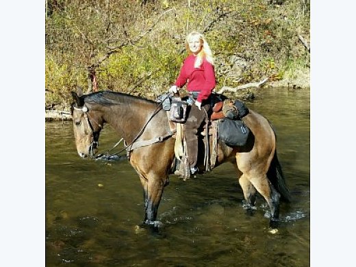 Buckskin Gelding for Sale