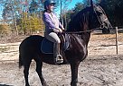 Calypso - Mare in Locust grove, VA Calypso - Mare in Locust grove, VA
