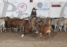 Quarter Horse (Quarter Horse, Gelding) in Las Vegas, NV