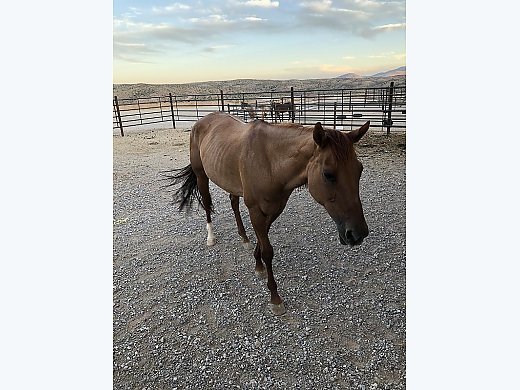 Dun Mare