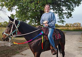 Standardbred