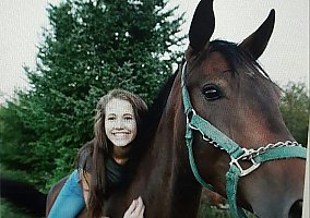 Warmblood (Warmblood, Mare) in Belgrade, ME