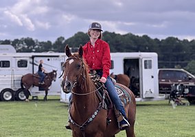 Quarter Horse (Quarter Horse, Mare) in Vilonia, AR