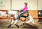 Paint - Horse for Sale in Magnetic Springs, 43036 Paint - Horse for Sale in Magnetic Springs, 43036