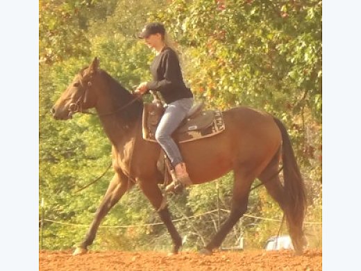 Absolute Wonderful QH